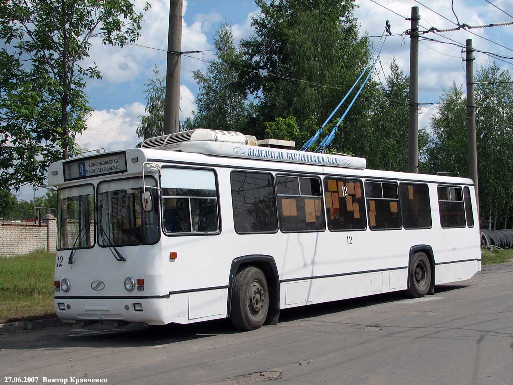 Kovrovas, BTZ-5276-04 nr. 12