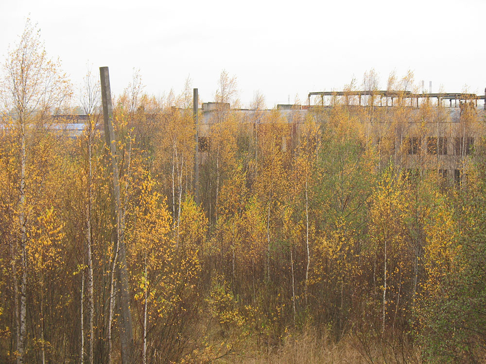 Sankt-Peterburg — Tramway depot # 11