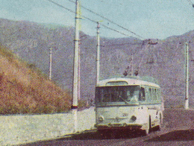 克里米亚无轨电车, Škoda 9Tr4 # 207; 克里米亚无轨电车 — Historical photos (1959 — 2000)
