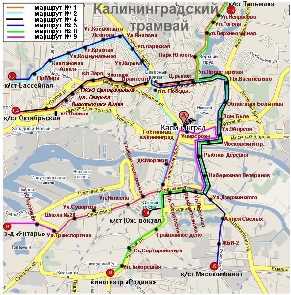 Карты калининград транспорт автобусы. Трамвай Калининград маршруты. Карта трамвая Калининград. Трамвайные маршруты Калининграда. Схема трамваев Калининграда.