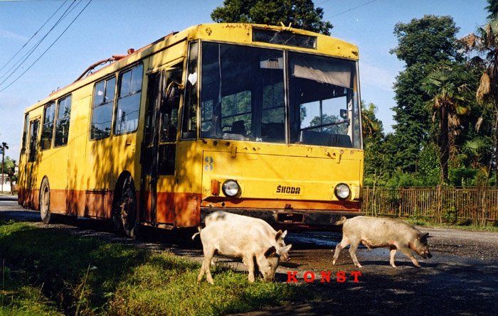 Зугдиди, Škoda 14Tr11/6 № 3; Транспорт и животные