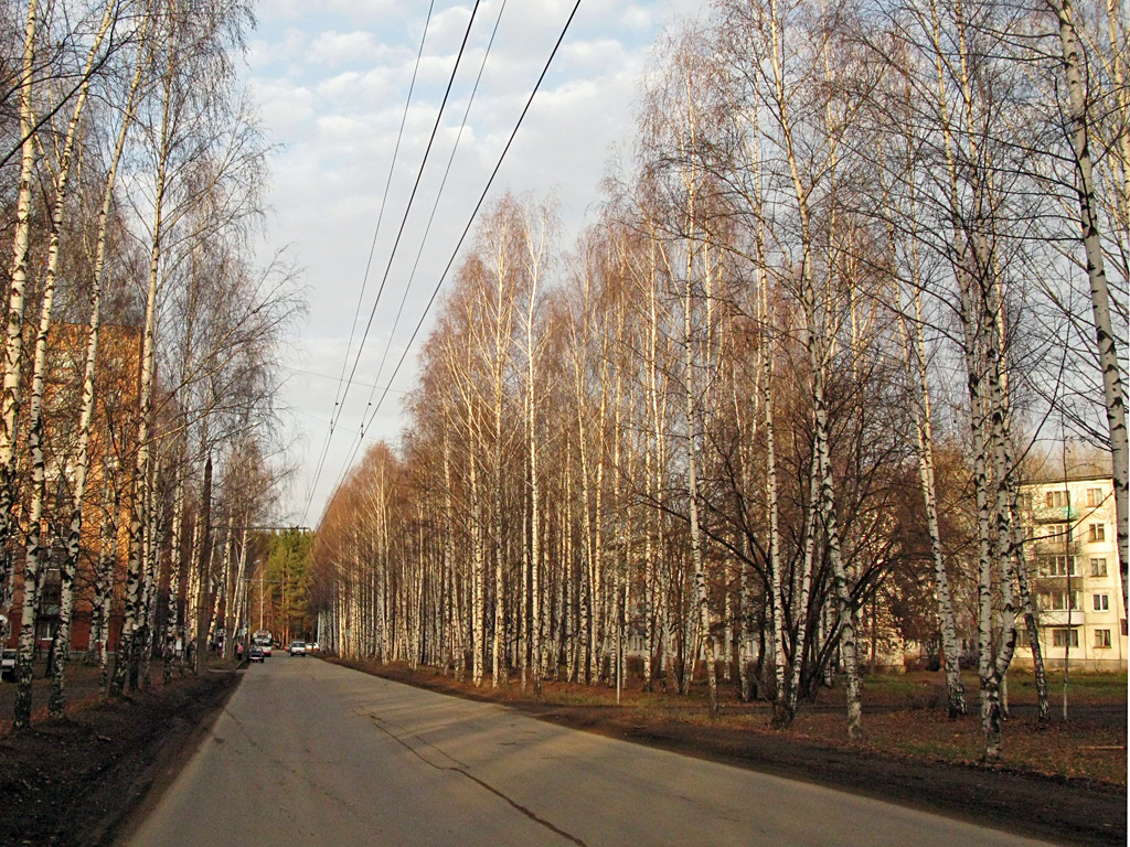 Izhevsk — Electric transit lines