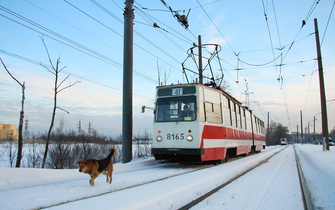 Санкт-Петербург, ЛВС-86К № 8165; Транспорт и животные