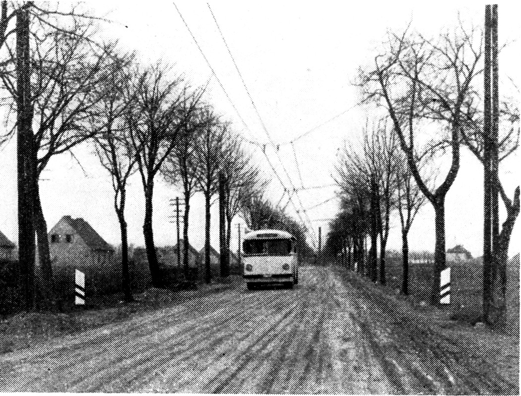 Insterburga — Insterburg trolleybus