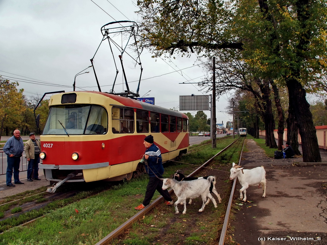 Одесса, Tatra T3SU № 4027; Одесса — 03.11.2012 — Золотая осень в Одессе; Транспорт и животные