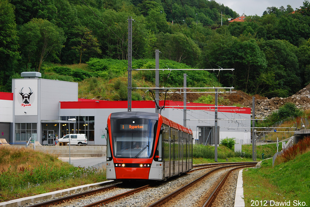 Берген, Stadler Variobahn № 205