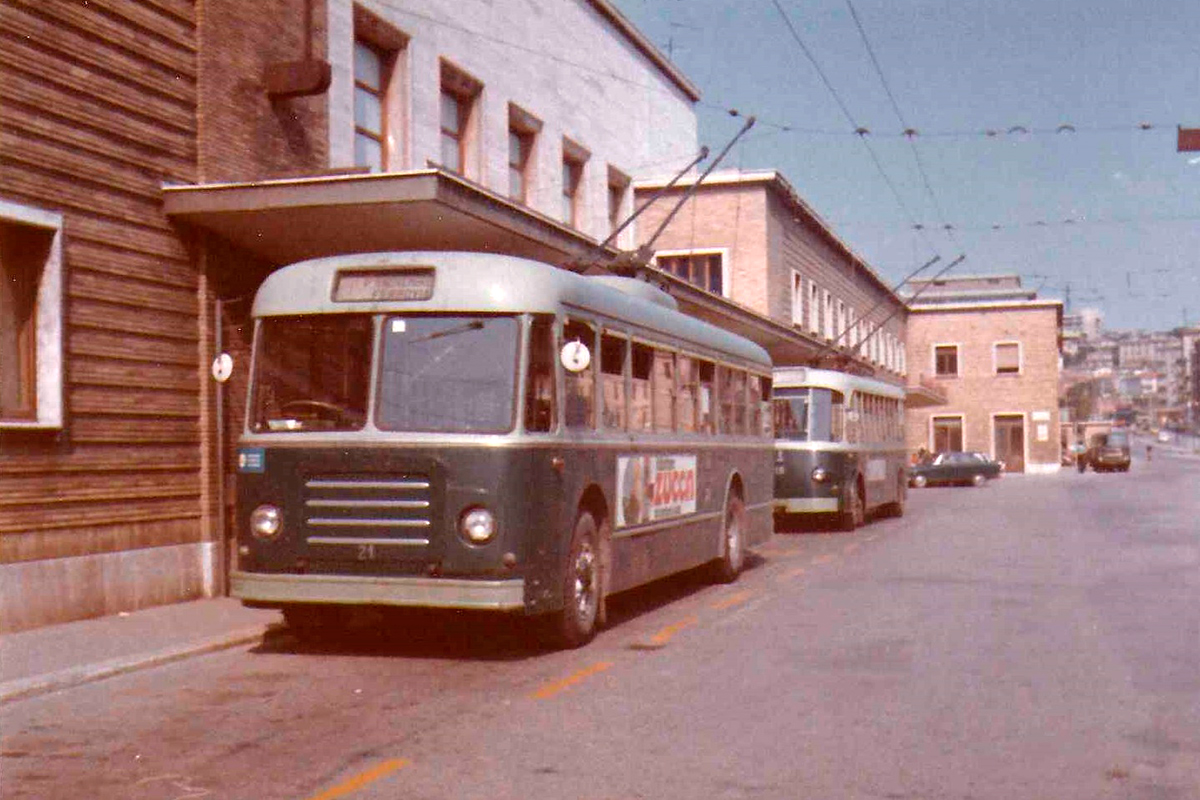Анкона, Fiat 2401/Cansa № 21