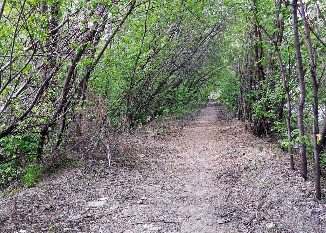 Новосибирск — Закрытые линии