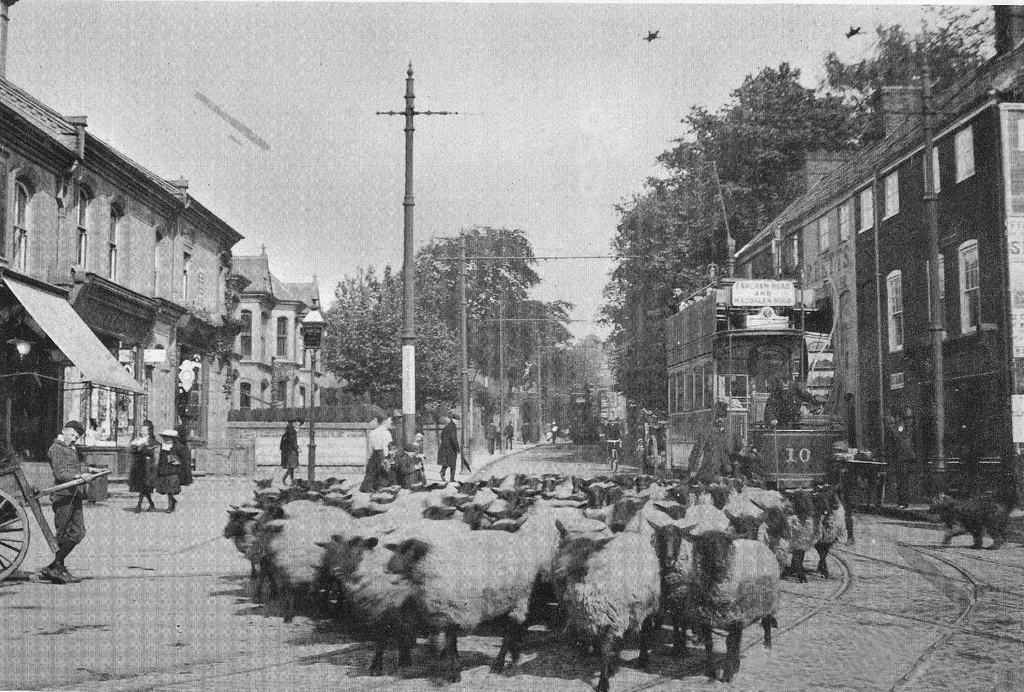 Norwich, Brush 2-axle motor car # 10