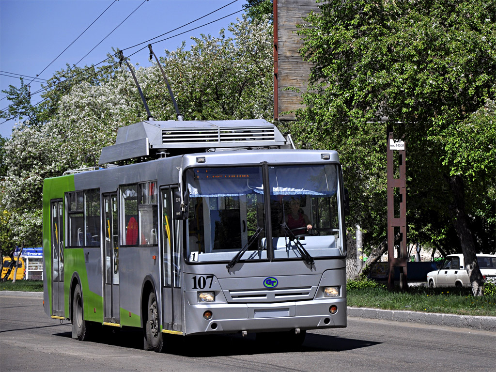 Rubtsovsk, ST-6217 № 107