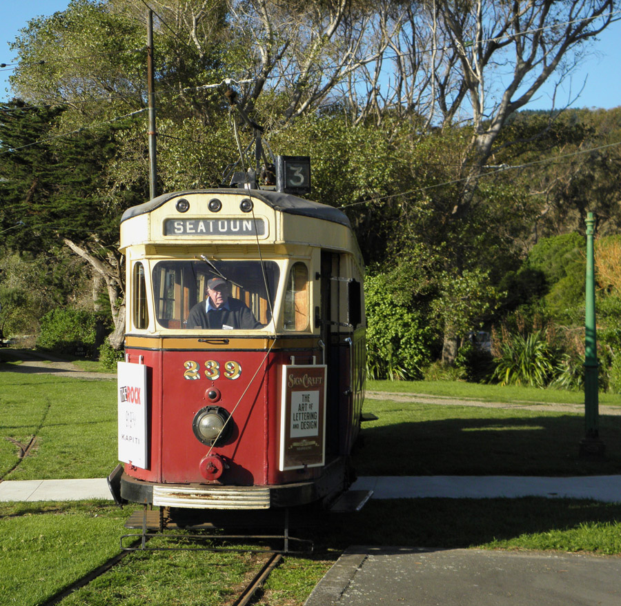 Паекакарики, Wellington City Tramways Company Ltd № 239