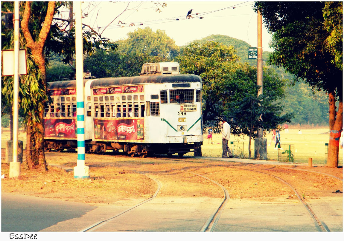 Calcutta, Series 207-281 N°. 278