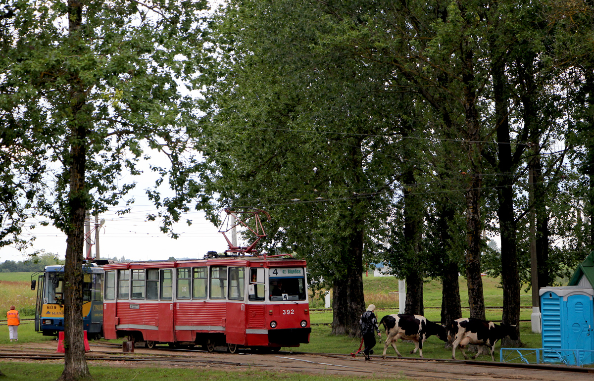 Витебск, 71-605А № 392; Транспорт и животные