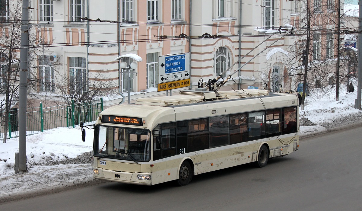 Томск, БКМ 321 № 391