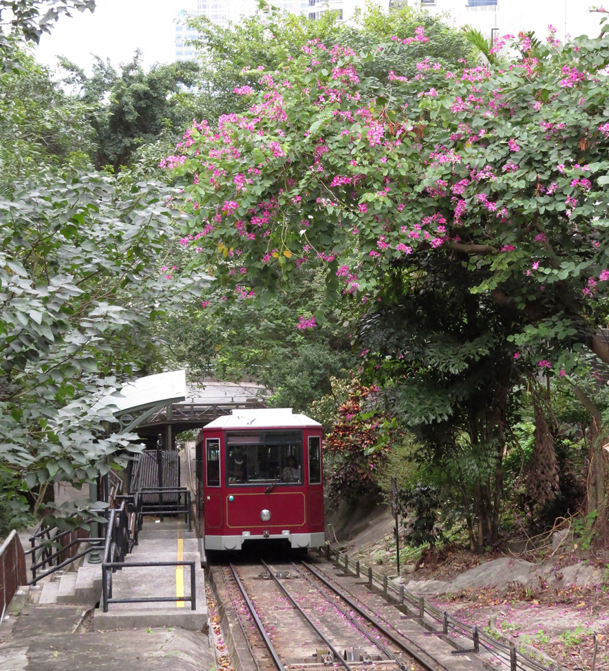 香港 — Photos with Funicular Cars