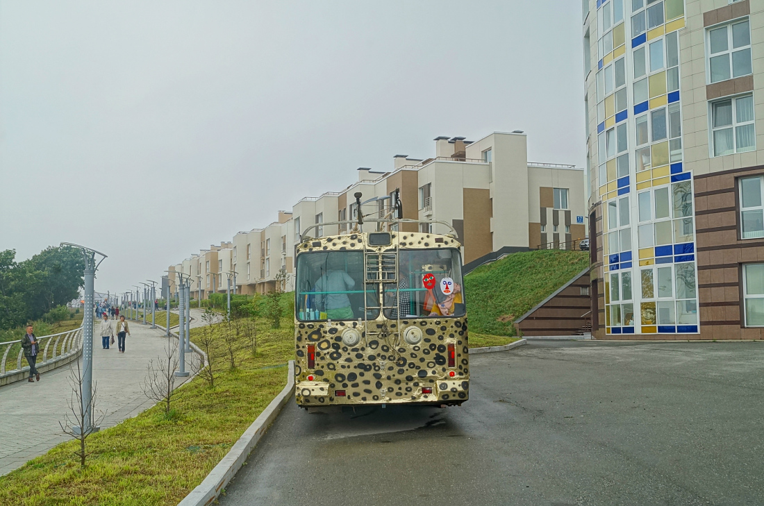 Владивосток, ЗиУ-682Г-016.02 № 249; Владивосток — Тематические  троллейбусы