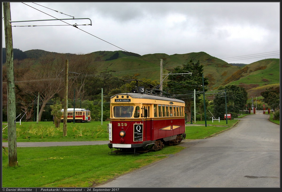 Паекакарики, Wellington City Tramways Company Ltd № 239