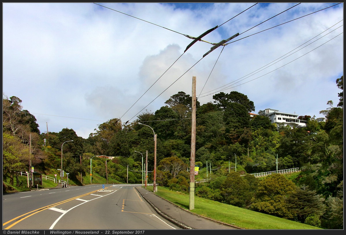 Wellington — Trolleybus Lines and Infrastructure