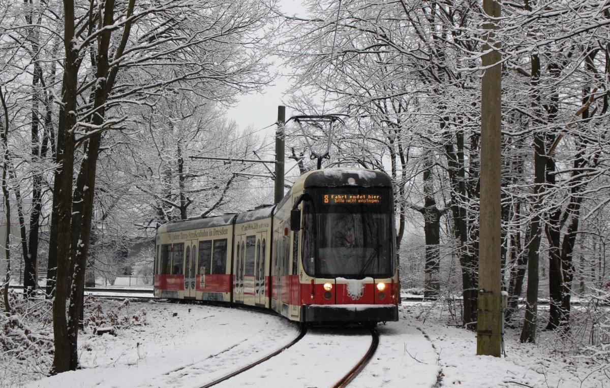Дрезден, Bombardier NGT D8 DD 	 № 2625; Дрезден — Последний день трамвайного движения в кольце «Дибштайг» (04.02.2018)
