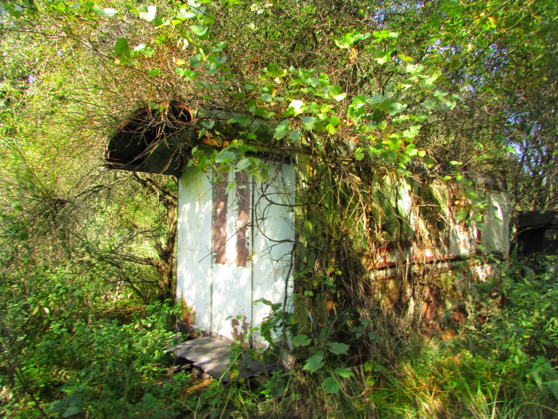 Léopol — Sheds