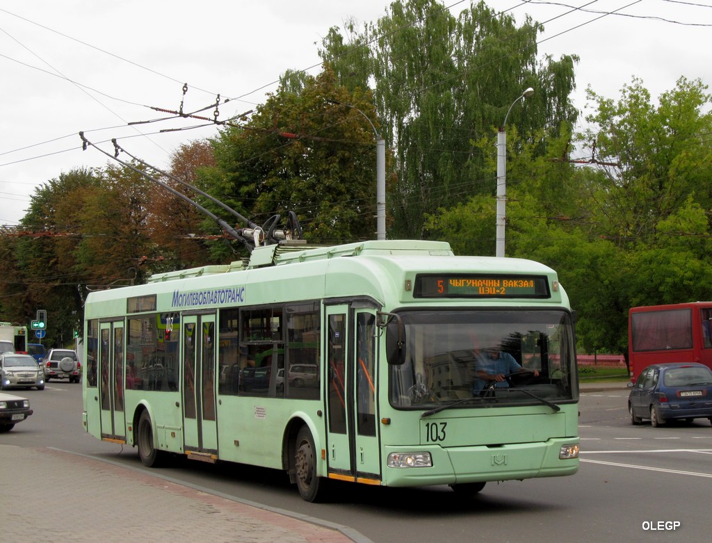 Mogilev, BKM 32102 # 103