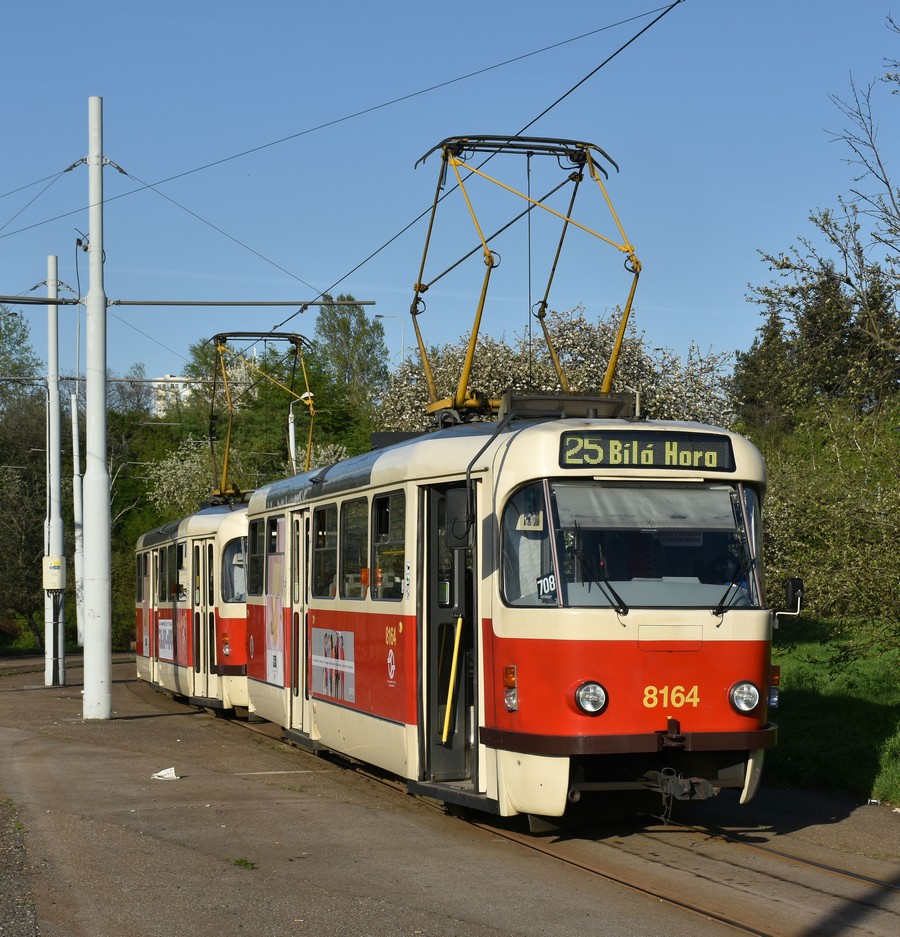 Прага, Tatra T3R.PV № 8164