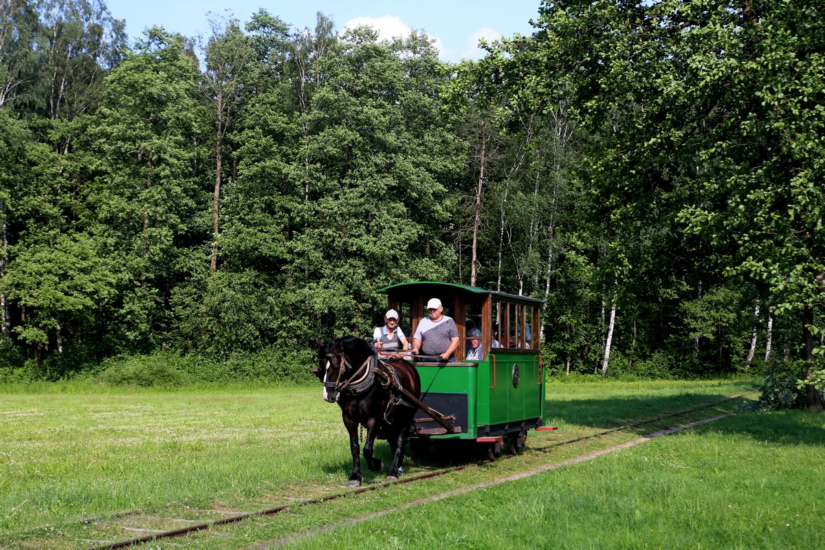 Mrozy, Horse car N°. б/н