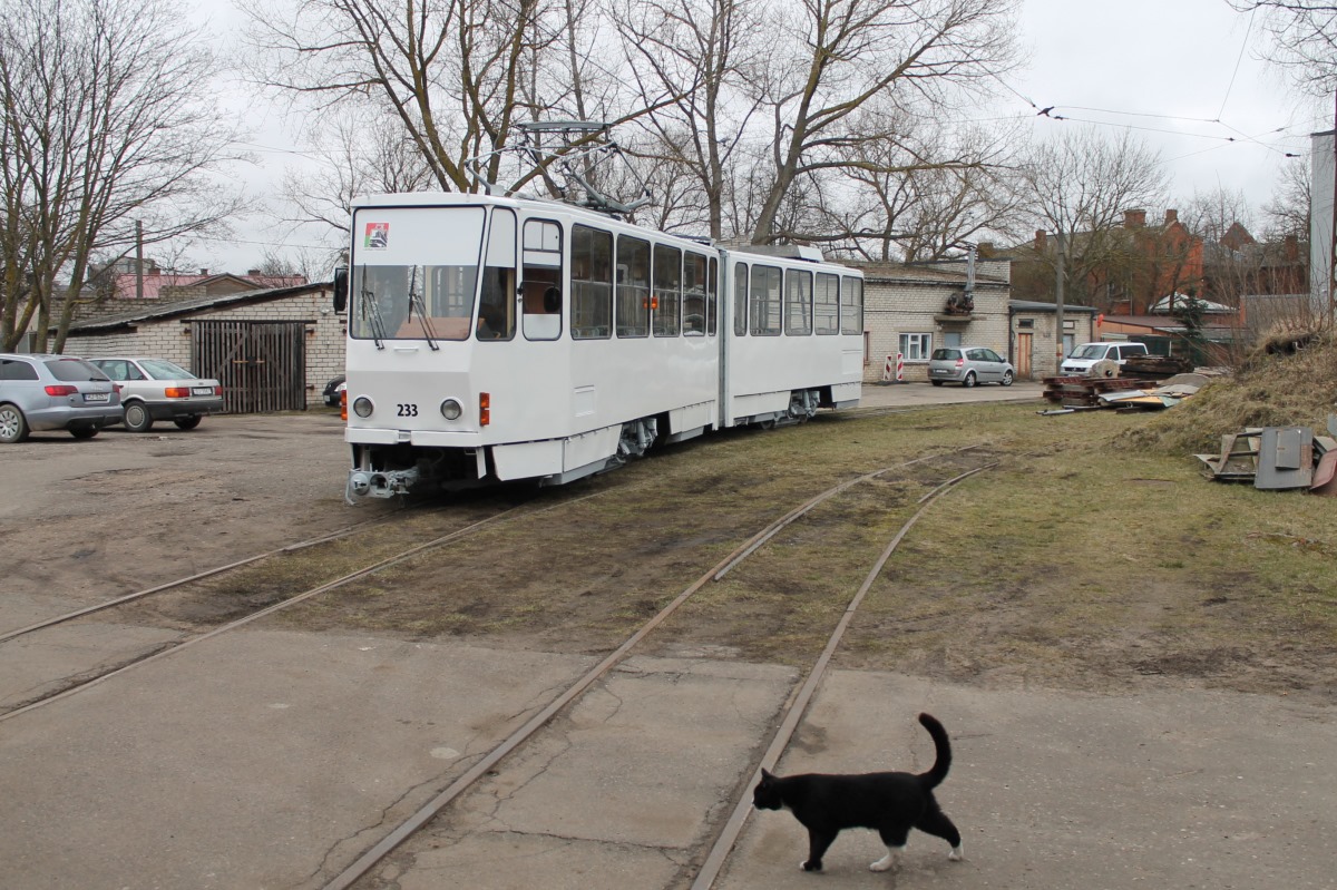 Лиепая, Tatra KT4SU № 233; Транспорт и животные