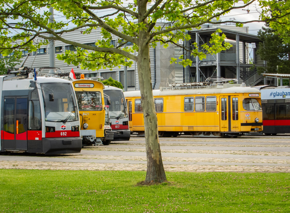 Вена, Siemens ULF-B № 692; Вена — Tramwaytag 2019
