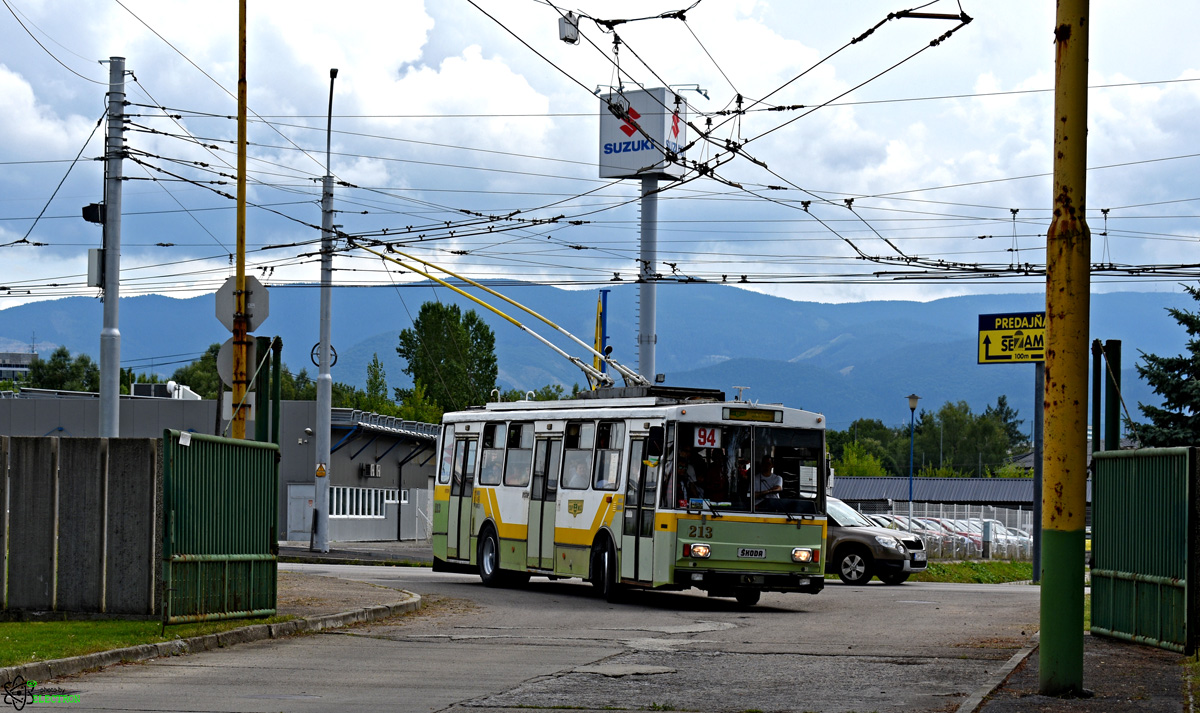Žilina, Škoda 14Tr14/7 nr. 213; Žilina — Slávnostné rozlúčenie s trolejbusmi typu Škoda 14Tr & 15Tr (17.08.2019) • Farewell ceremony with Škoda 14Tr & 15Tr trolleybuses (17.08.2019)
