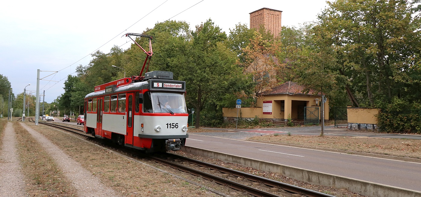 Галле, Tatra T4DC № 1156; Галле — Юбилей: 50 лет вагонов «Татра Т4Д» в Галле (07.09.2019)