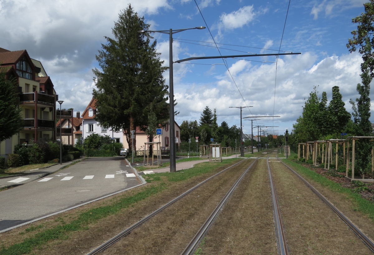 Страсбург — Трамваный линии и инфраструктура