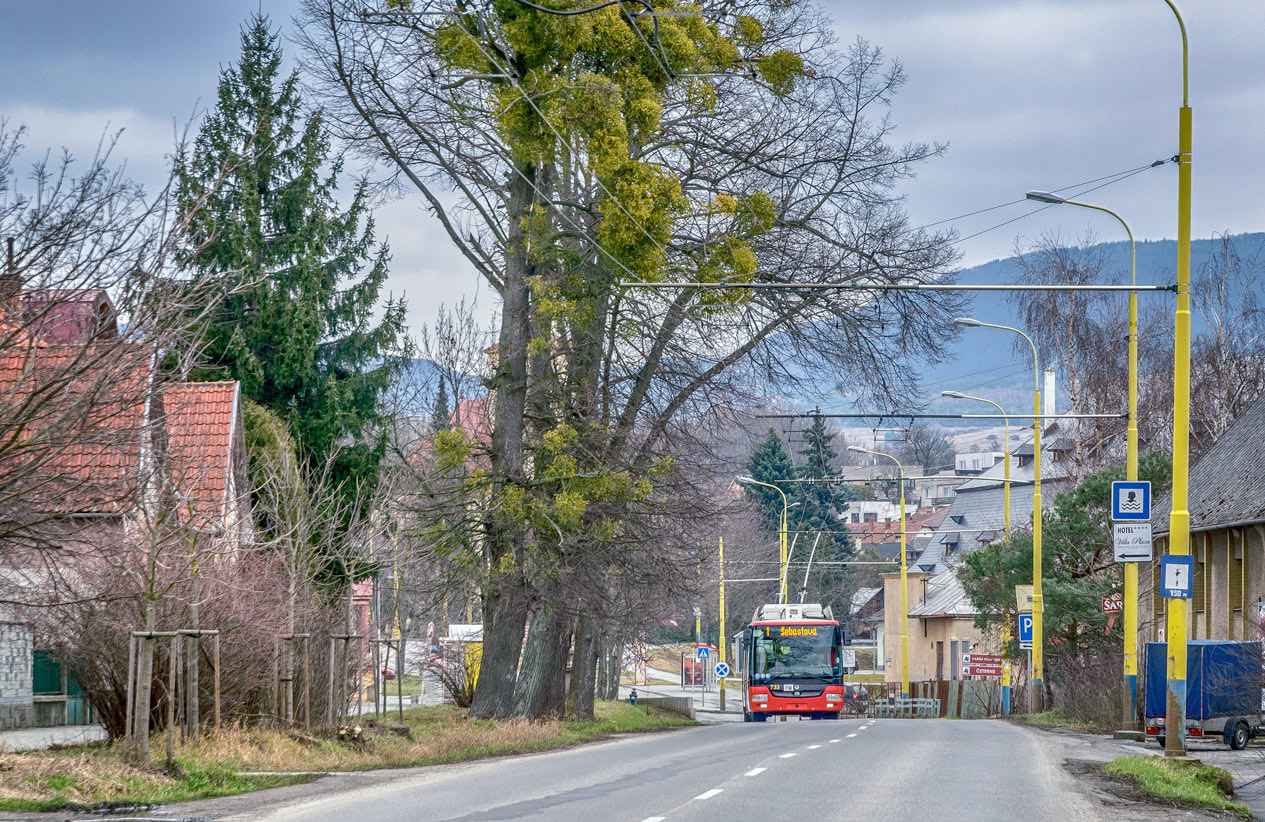 Прешов — Троллейбусные линии и инфраструктура