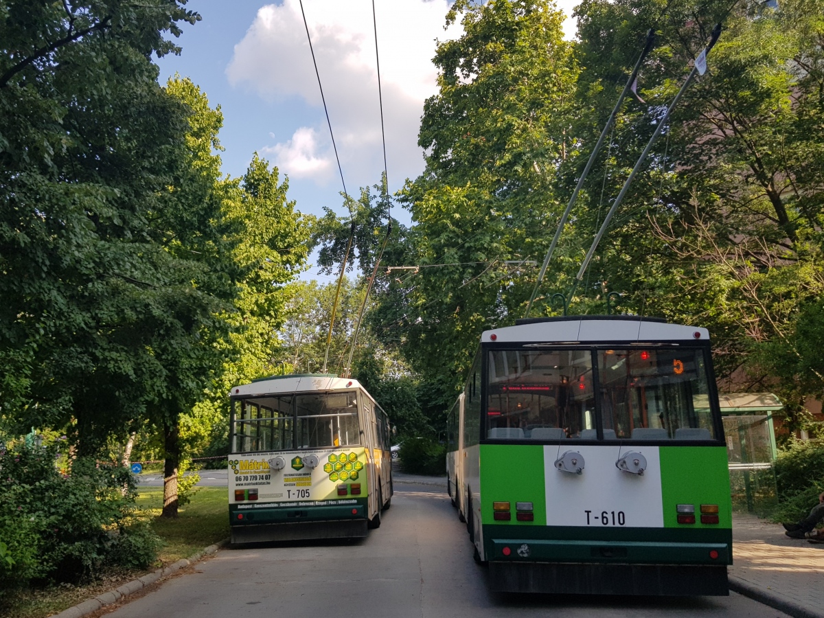 Szeged, Škoda 14Tr08/6 # T-705; Szeged, Škoda 15Tr03/6 # T-610