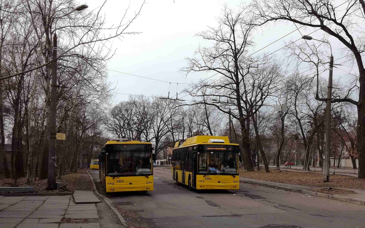 Kyiv, Bogdan Т90110 № 2313; Kyiv, Bogdan T70117 № 2365