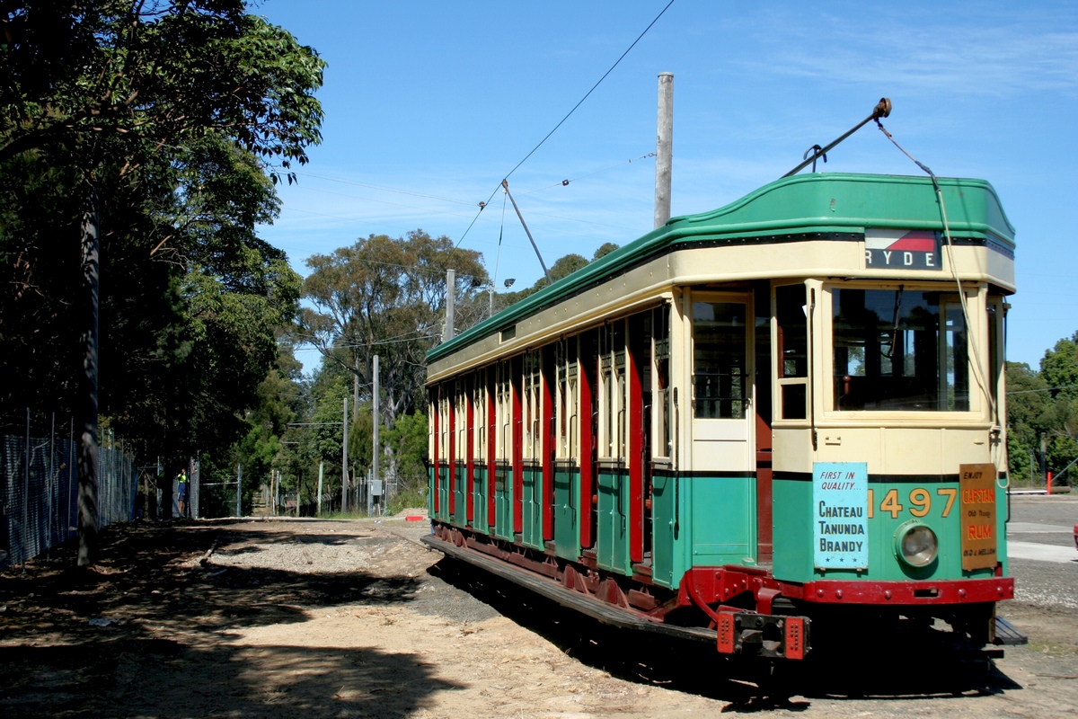 Сидней, Sydney P Class № 1497