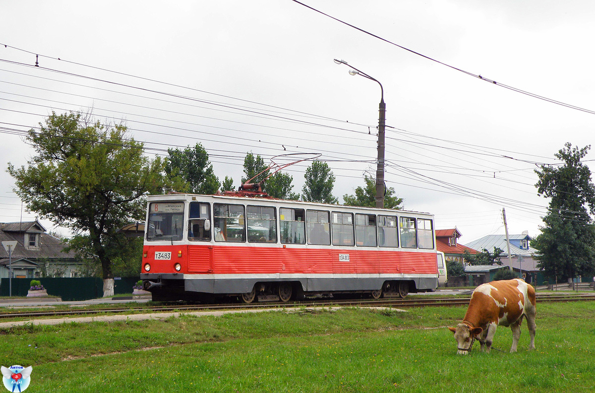 Нижний Новгород, 71-605А № 3483; Транспорт и животные
