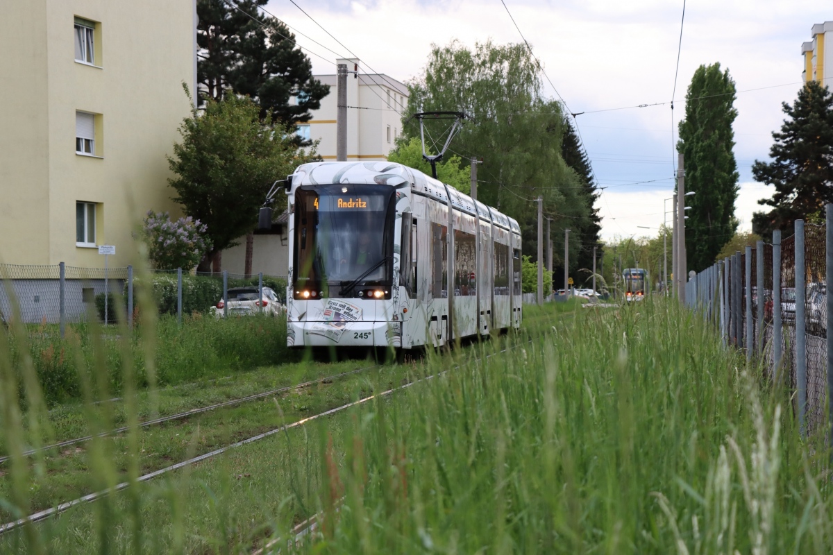 Graz, Stadler Variobahn Nr 245