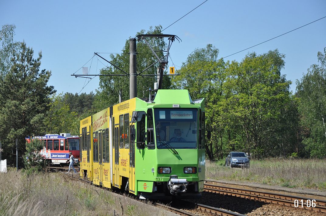 Котбус, Tatra KTNF6 № 137; Котбус — День открытых дверей и 6-й слет автобусов Икарус в Германии (18.05.2019)