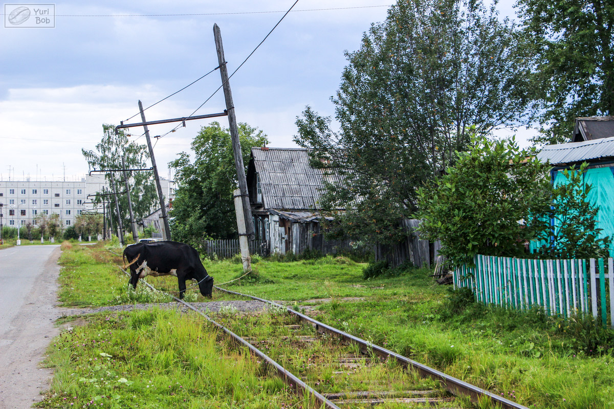 Volchansk — Tramway Lines and Infrastructure; Transport and animals