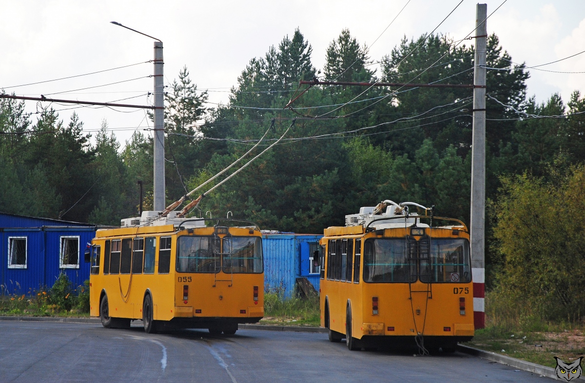 Дзержинск, ЗиУ-682Г-016.02 № 055; Дзержинск, ЗиУ-682Г-016.02 № 075