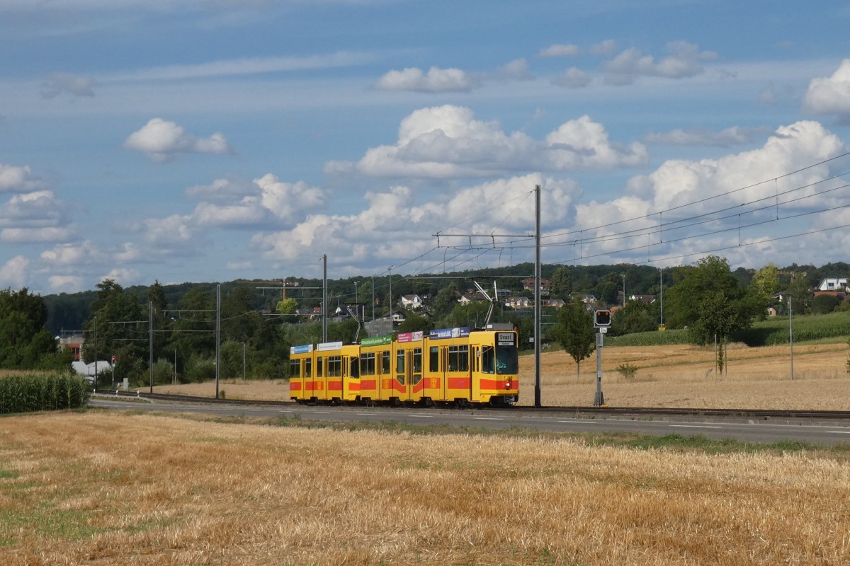 Базель, Schindler/Siemens Be 4/8 № 254