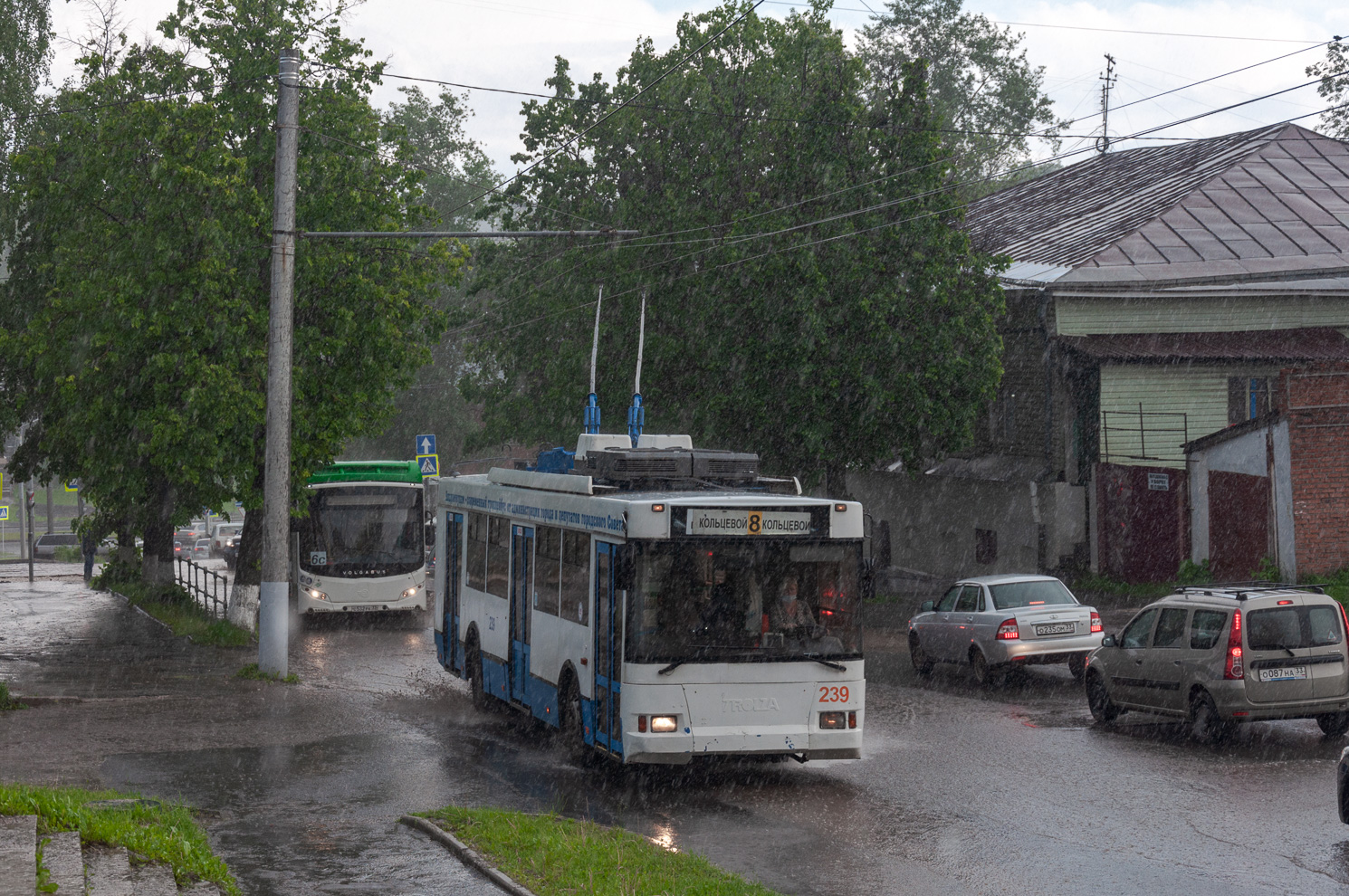 Владимир, Тролза-5275.05 «Оптима» № 239