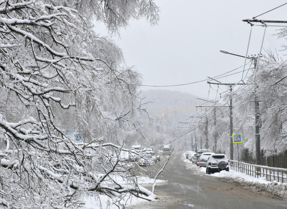 Vladivostok — Ice Storm 19.11.2020-20.11.2020
