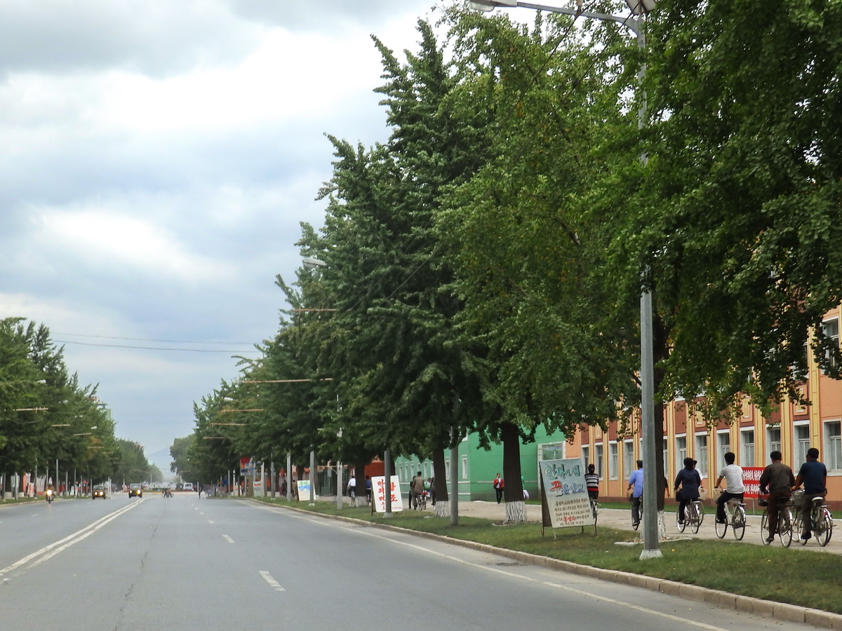 Sariwon — Trolleybus Lines and Infrastructure