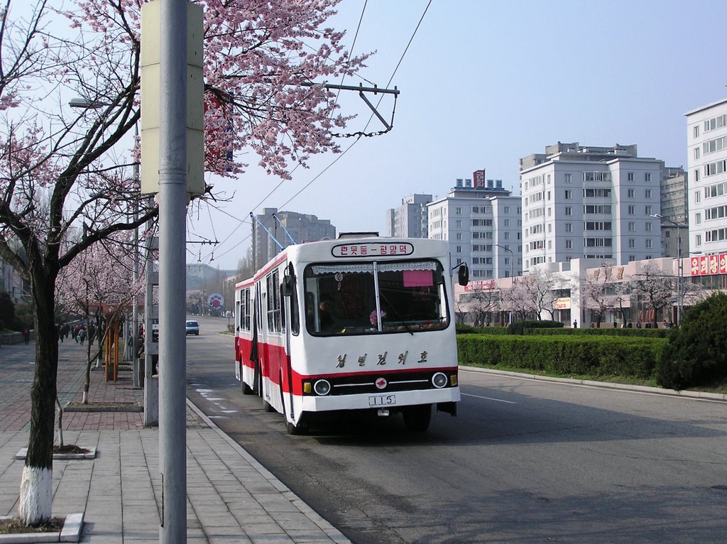 Пхеньян, Chollima 971 № 115