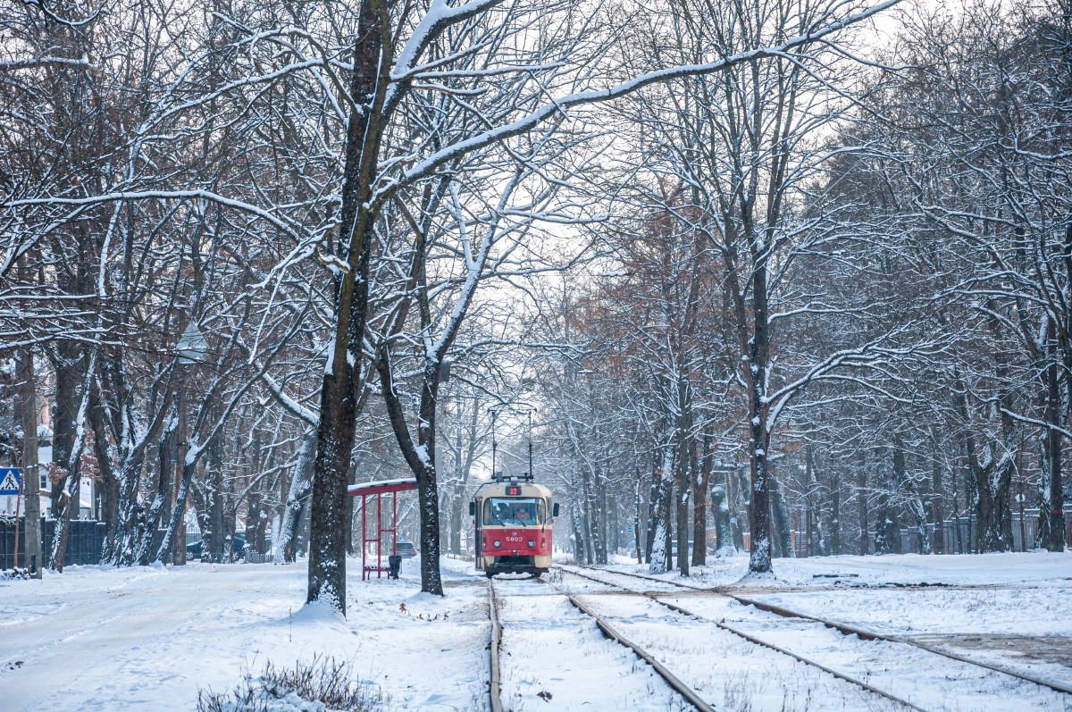 Киев — Трамвайные линии: Подольская сеть — север