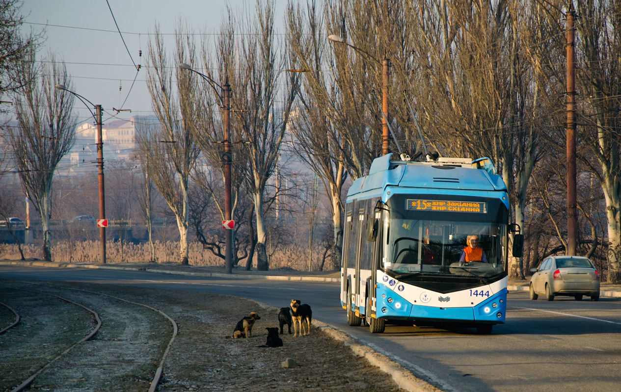 Мариуполь, АКСМ 321 (БКМ-Україна) № 1444; Транспорт и животные