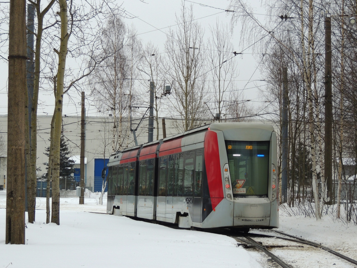 Санкт-Петербург, 71-801 (Alstom Citadis 301 CIS) № 8902