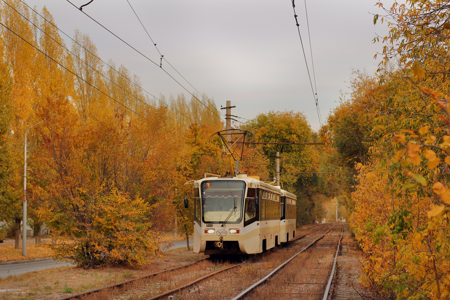 Saratov, 71-619KT № 1005